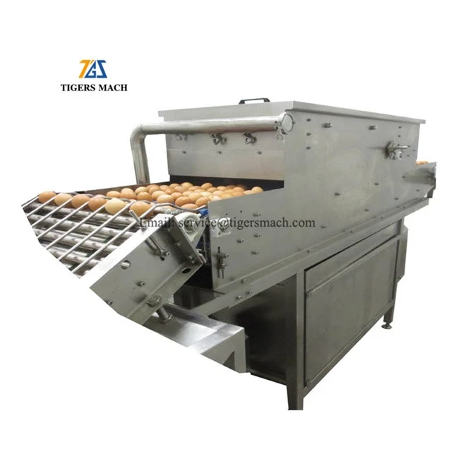 Egg cleaning machine in other cleaning equipment for cleaning chicken farm eggs (3)