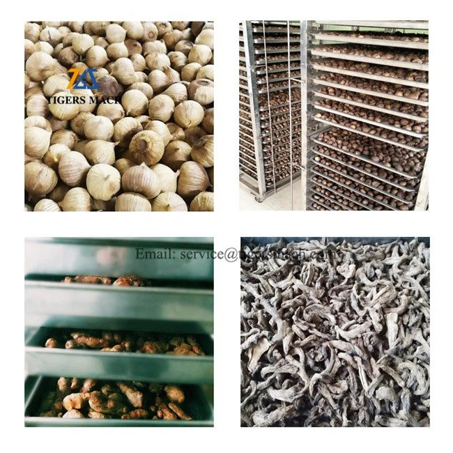 Industrial garlic fermenting machine from black garlic maker machine  (4)