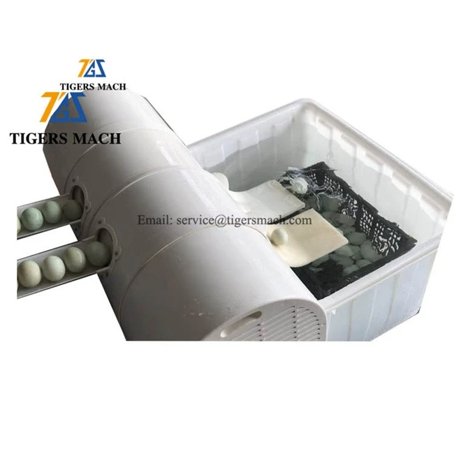 Factory cheap price egg brush washing cleaning washer cleaners machine, to wash clean dirty duck goose chicken egg (2)